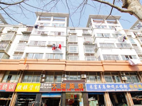 合肥大树旅馆(大蜀山地铁站店)