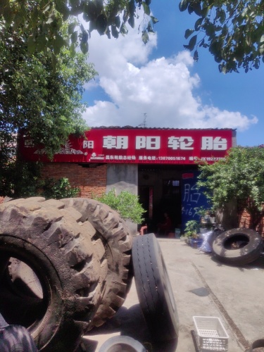 朝阳轮胎(谢佛路店)