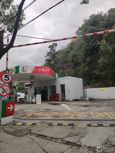 中石化碧辟凤栖加油站
