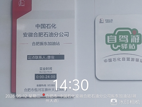 中国石化振东加油站