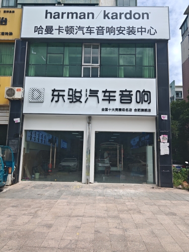 东骏汽车音响