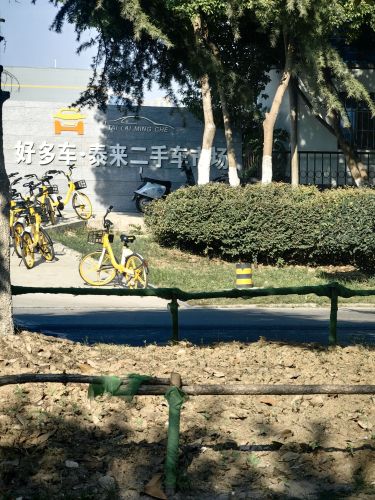泰来二手车市场部
