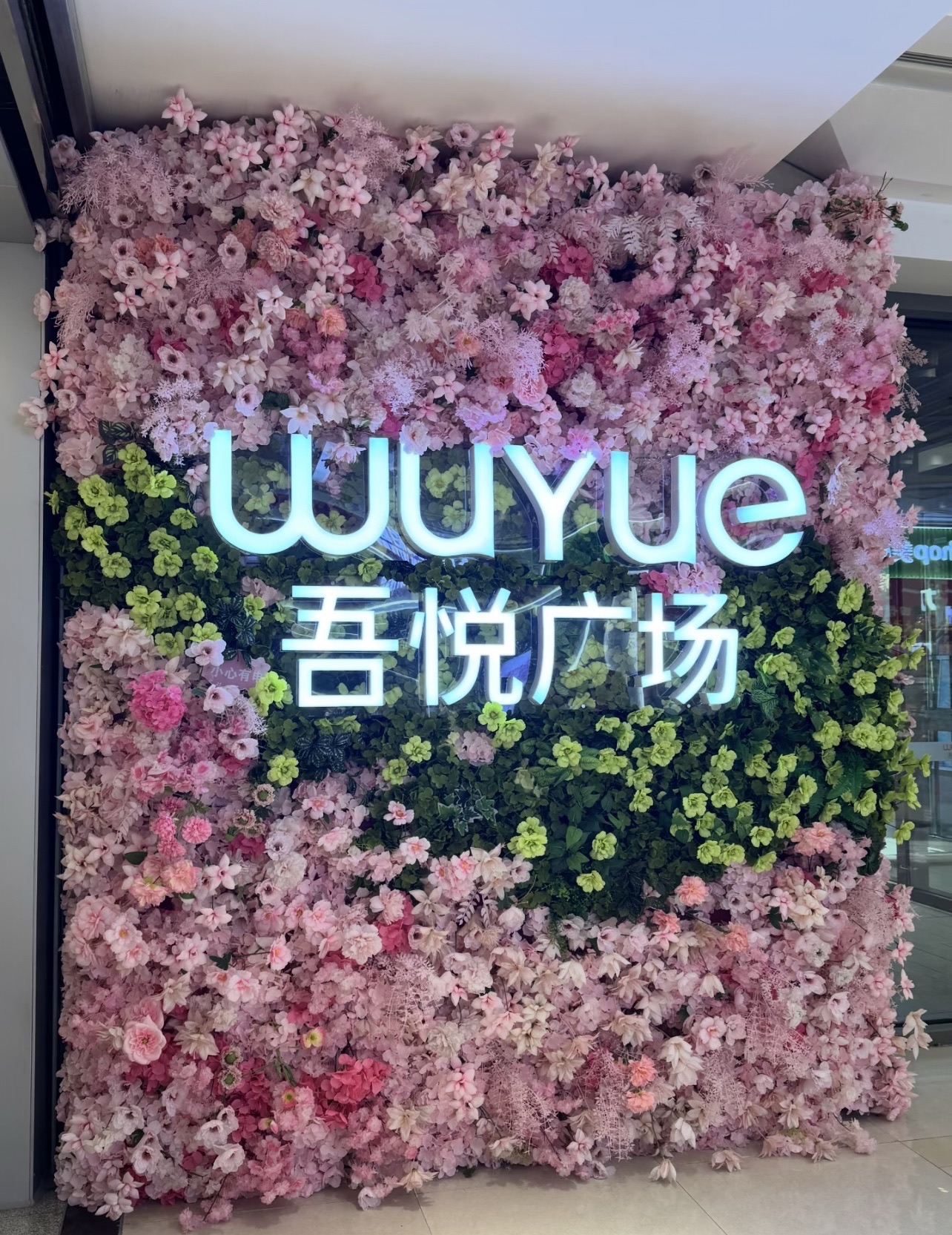 吾悦广场(合肥肥东店)