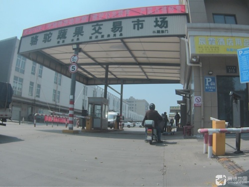 骆驼蔬果交易市场