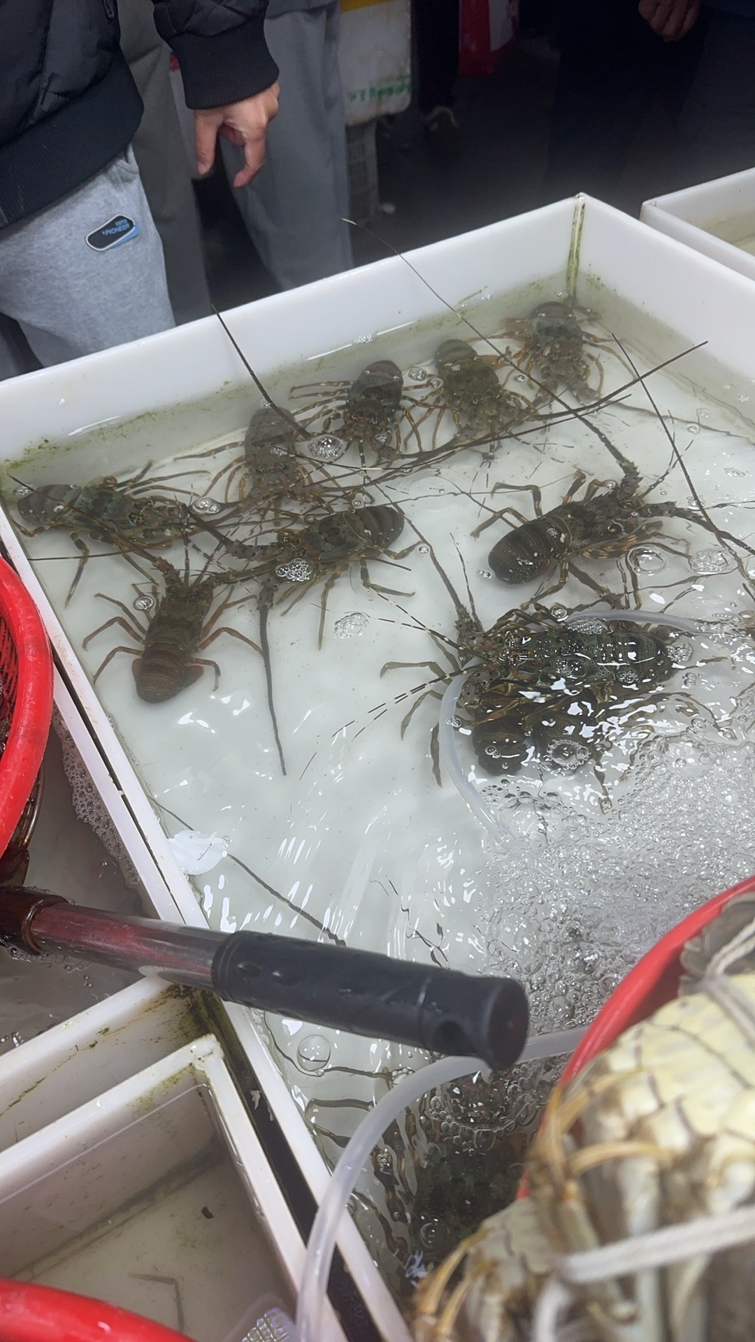 墙里菜市场