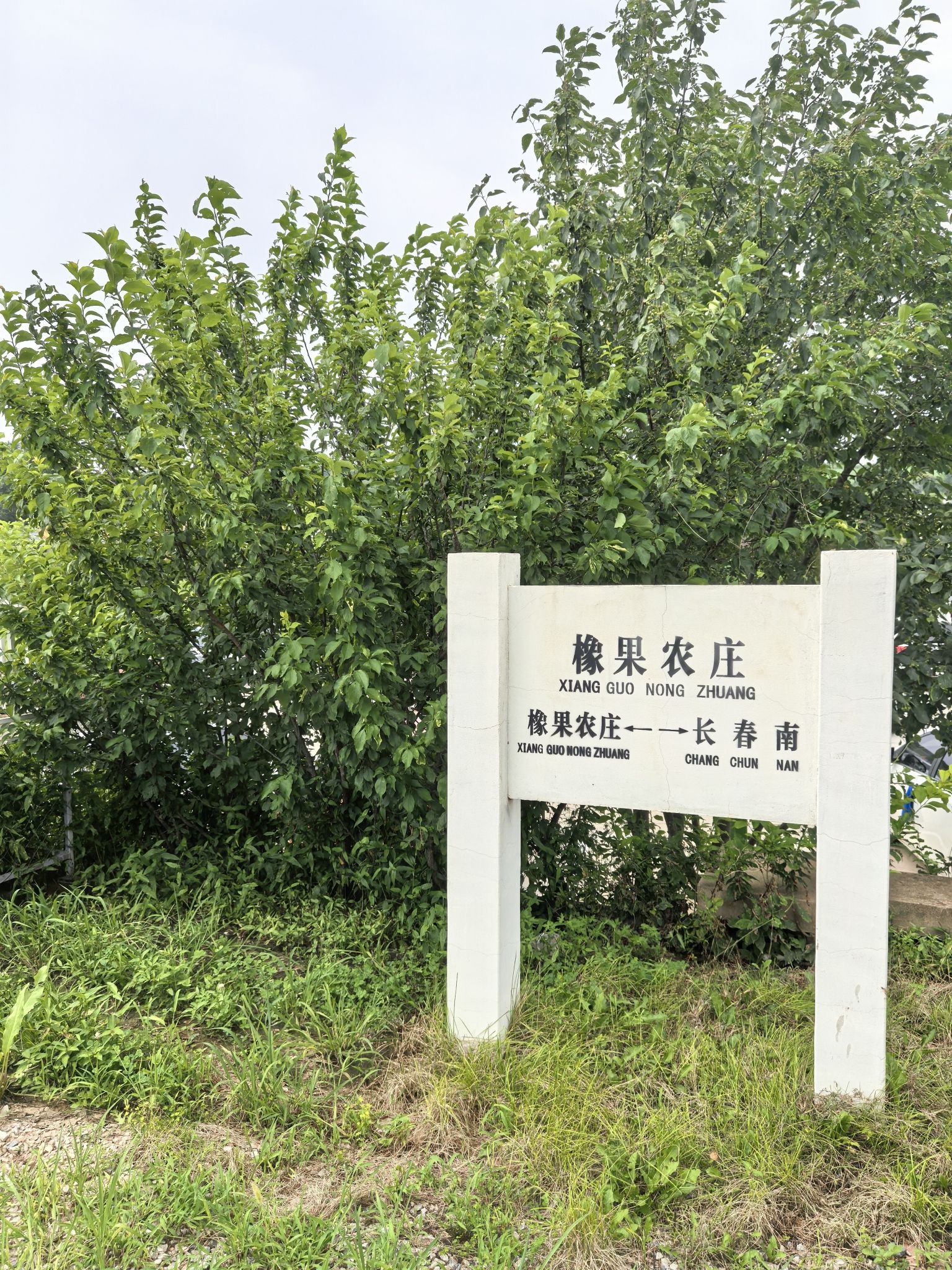橡果农庄