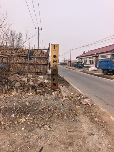 十二垂钓园