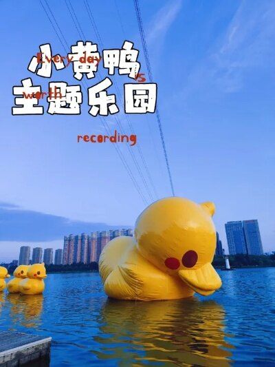 LT DUCK小黄鸭主题乐园(暂停营业)