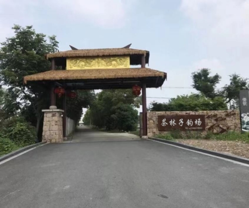 茶林子钓场