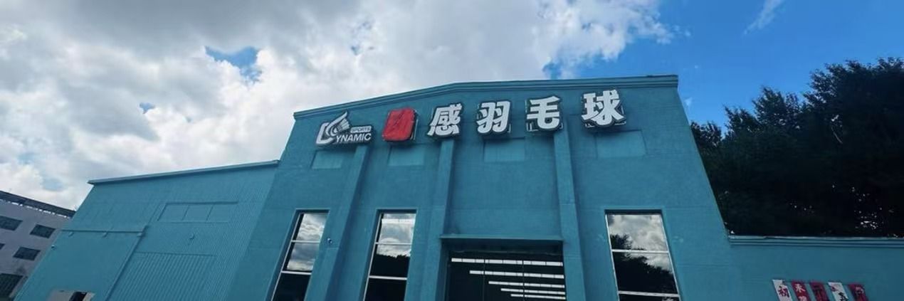 动感羽毛球