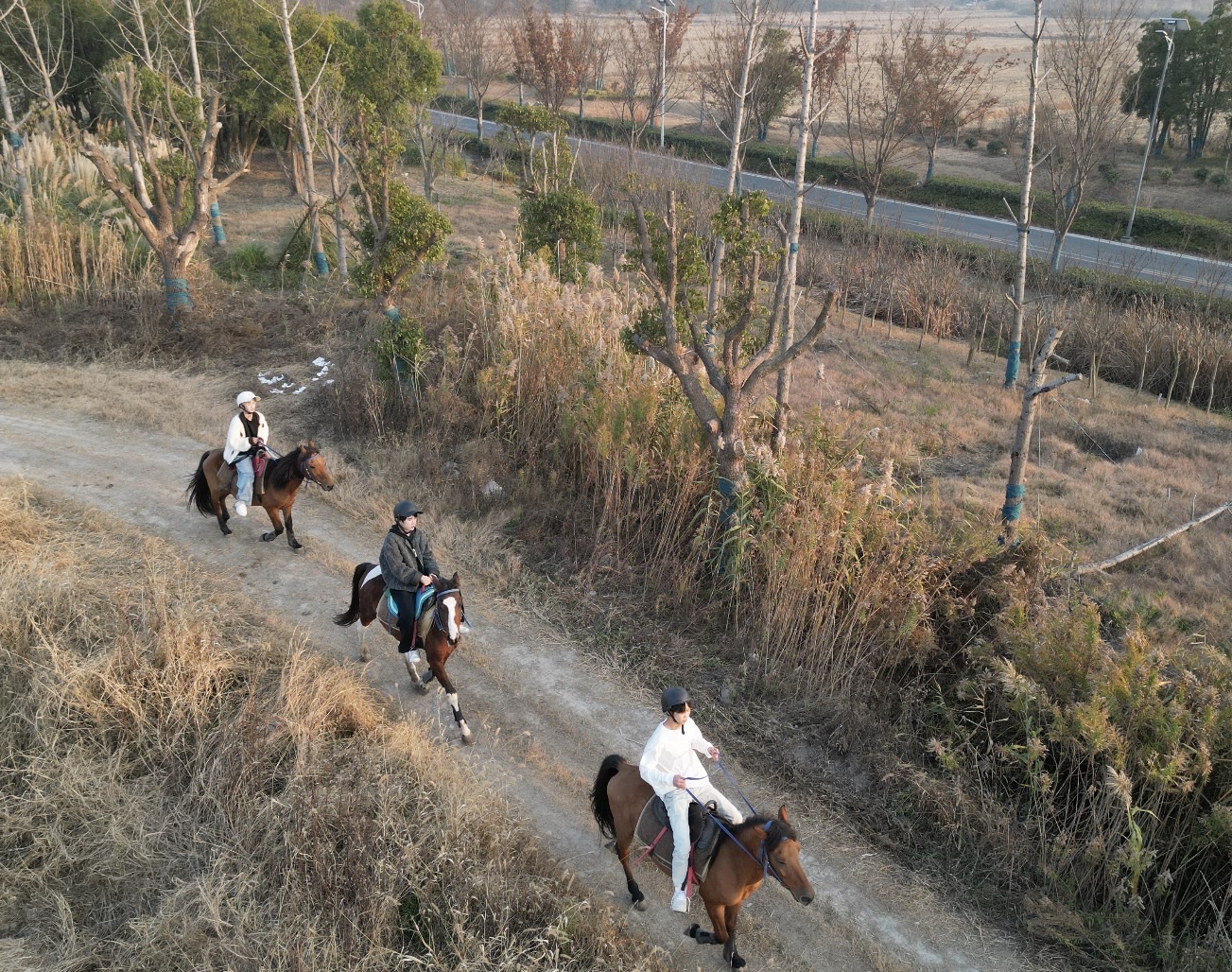 奔跃马术俱乐部