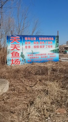 天天垂钓园