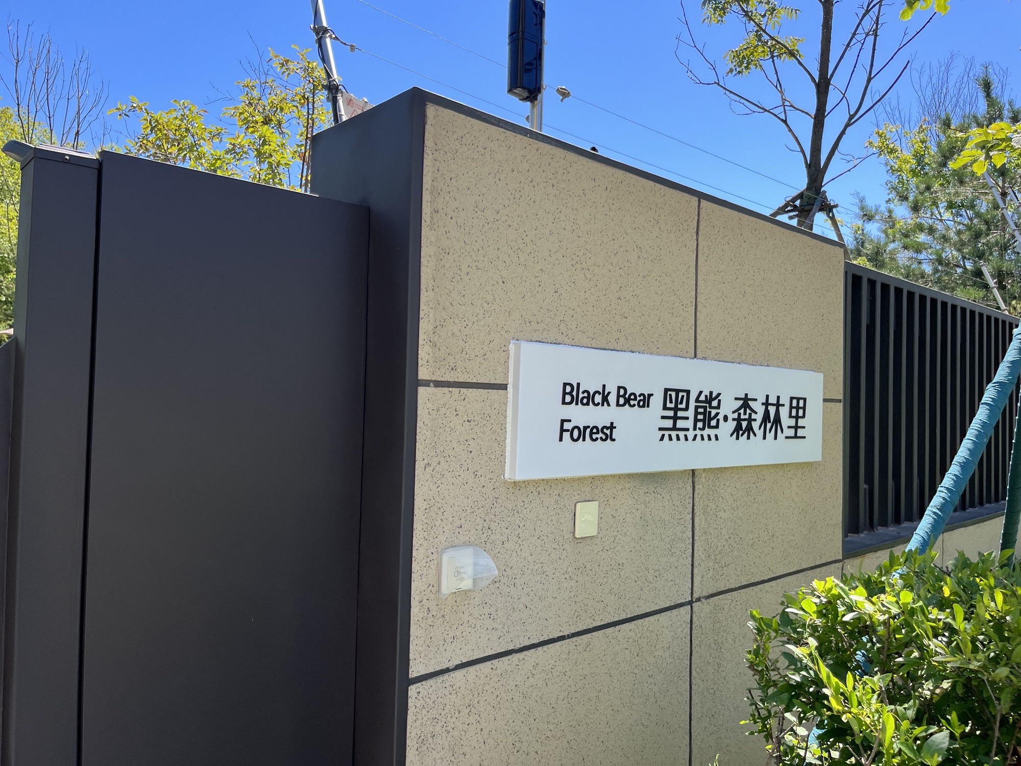 黑熊·森林里营地