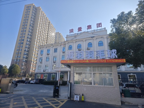 派羽羽毛球