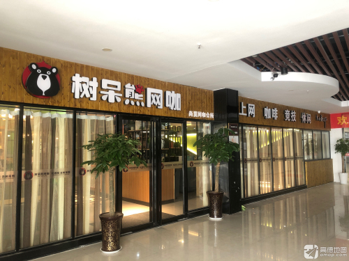 树呆熊网咖(湖畔景苑店)