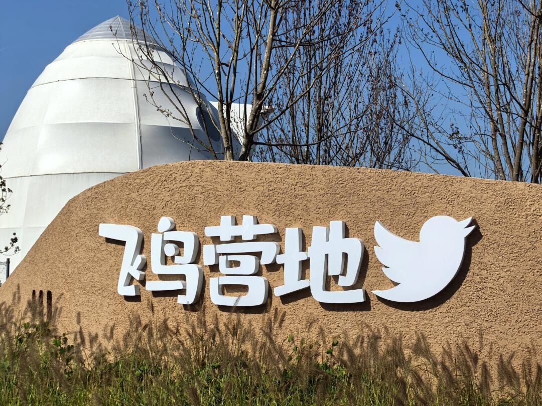 合肥磨滩旅游度假区飞鸟营地