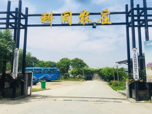 科同农庄(许村)