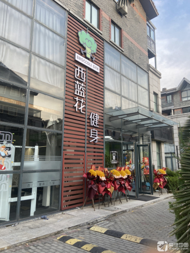 西蓝花健身