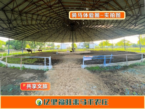 亿里福旺来马术农庄