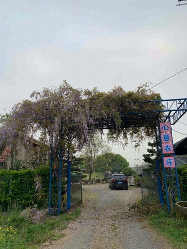 嘉善心意家庭农场