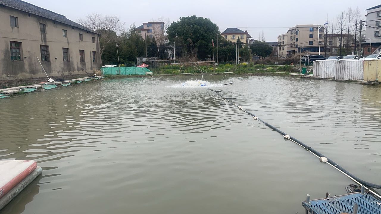 观鱼钓场