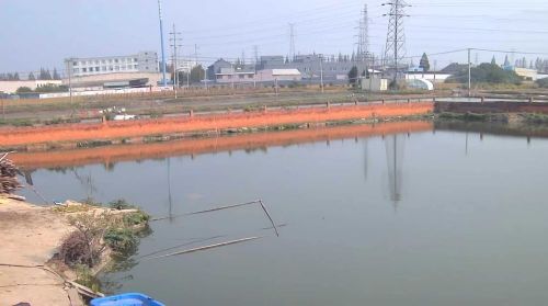 鱼塘小院钓场
