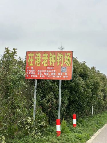 茌港老钟钓场