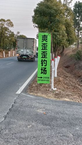 爽歪歪钓场