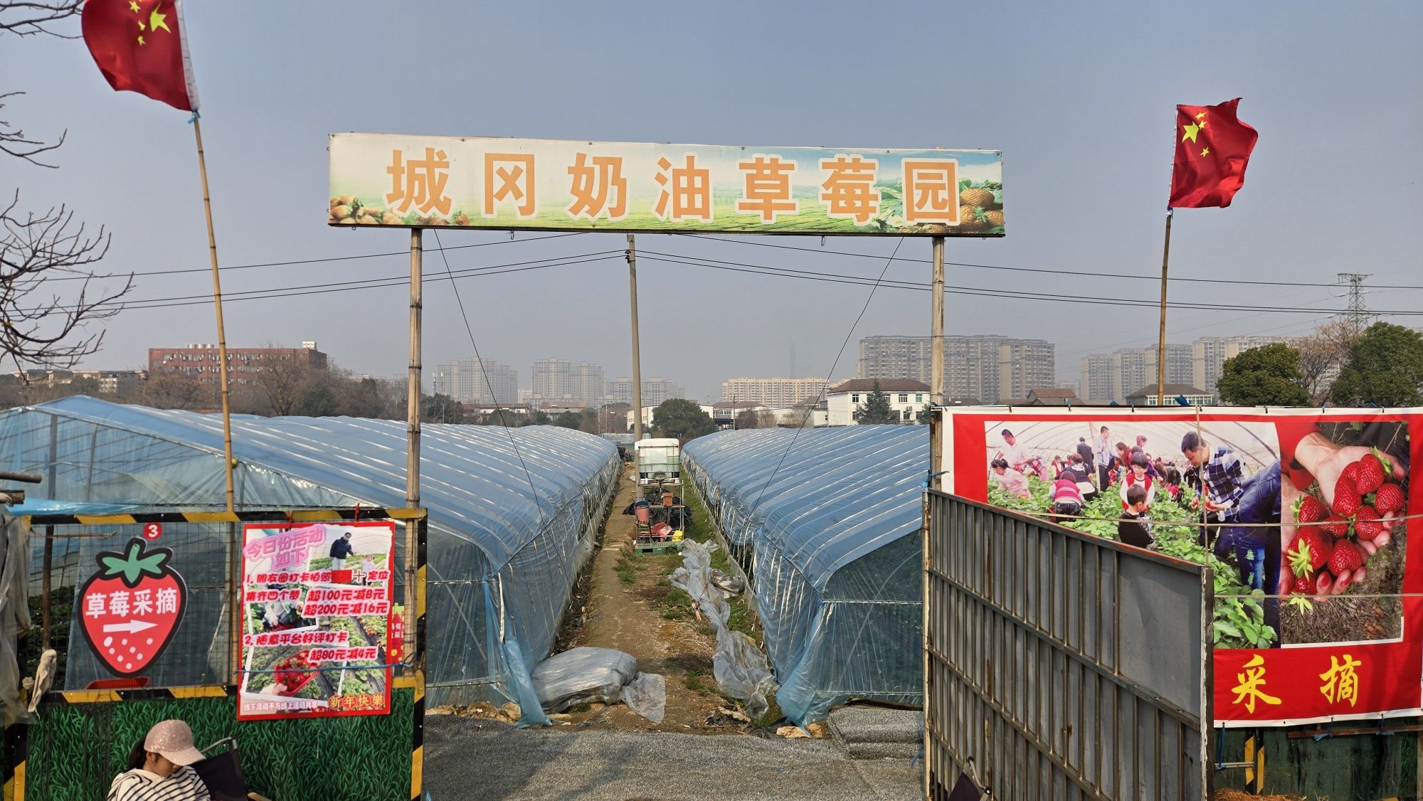 城冈奶油草莓园