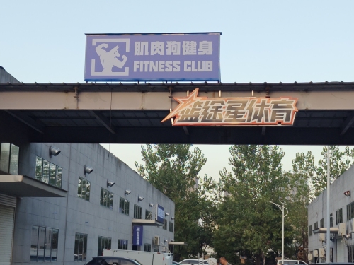 肌肉狗健身