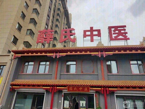 薛氏中医