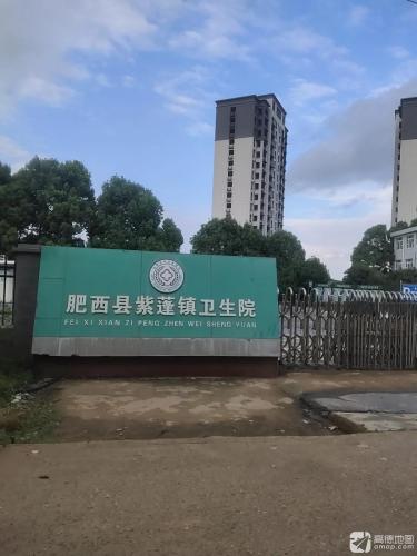 肥西县紫蓬镇卫生院