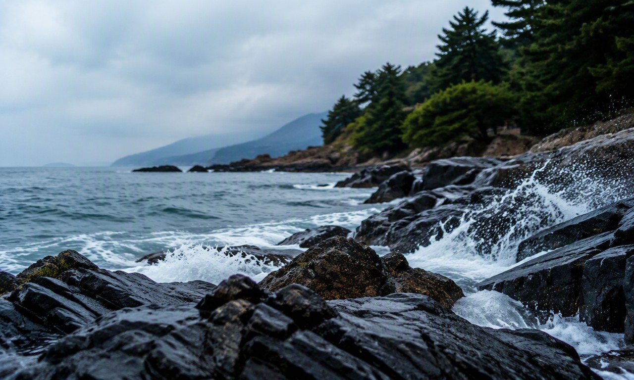 鲁迅公园礁石浪花